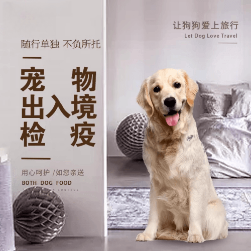 唐山市宠物托运到哥伦比亚猫狗宠物入境规定和