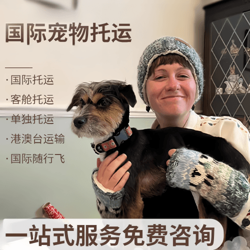 唐山市国际宠物托运到阿根廷宠物入境规定和要