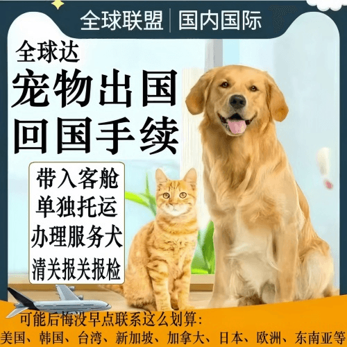 唐山市宠物托运到柬埔寨宠物入境规定和要求