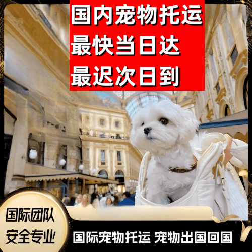 唐山市到澳大利亚（澳洲）宠物入境规定和要求