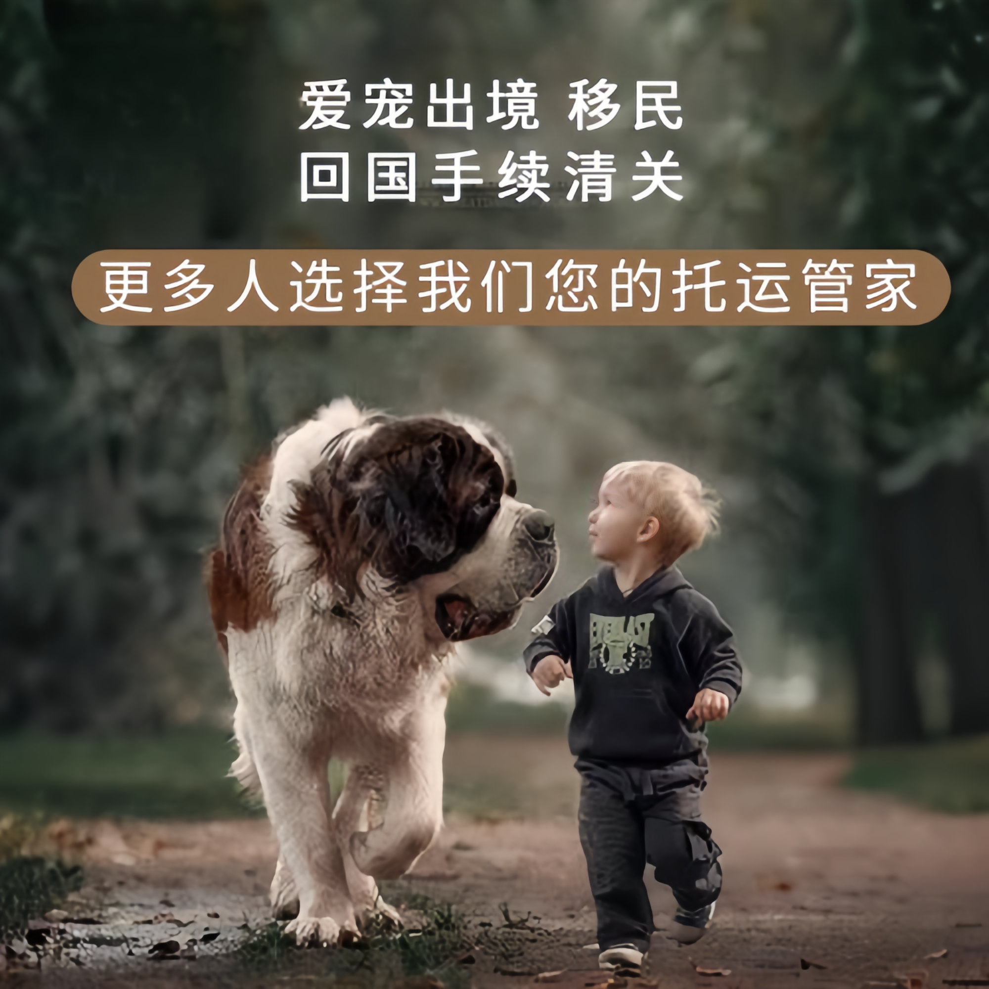 满财唐山市宠物全球达宠物托运在遵守入境目的地政策的条件