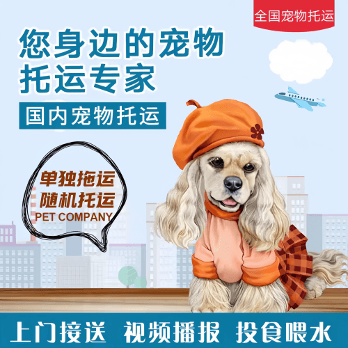 满财唐山市宠物全球达宠物托运作为专业的宠物运输代理机构
